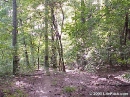 Cahaba-River-09-26-1999-001F