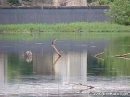 Cahaba-River-09-26-1999-007F