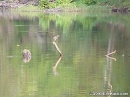 Cahaba-River-09-26-1999-009F