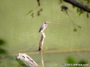 Cahaba-River-09-26-1999-010F