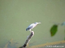 Cahaba-River-09-26-1999-011F