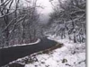 cheaha-feb-1998-2