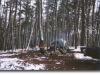 cheaha-feb-1998-5