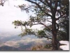 cheaha-feb-1998-7