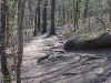 oakmtn22