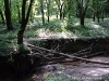 MVC-354F