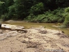sipsi-2004